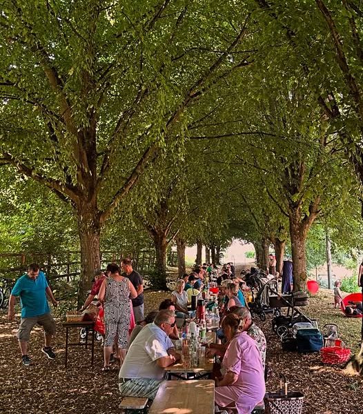 Bürgerinnen und Bürger beim gemeinsamen Frühstück unter schattigen Lindenbäumen in Dernbach – Sommerliches Gemeindeevent mit fröhlicher Stimmung.