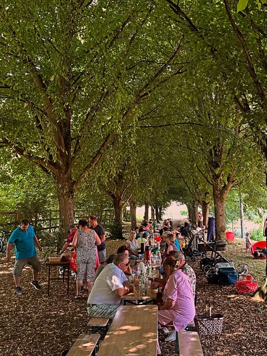 Bürgerfrühstück unter den Linden: Gemeinschaft erleben bei Sonnenschein